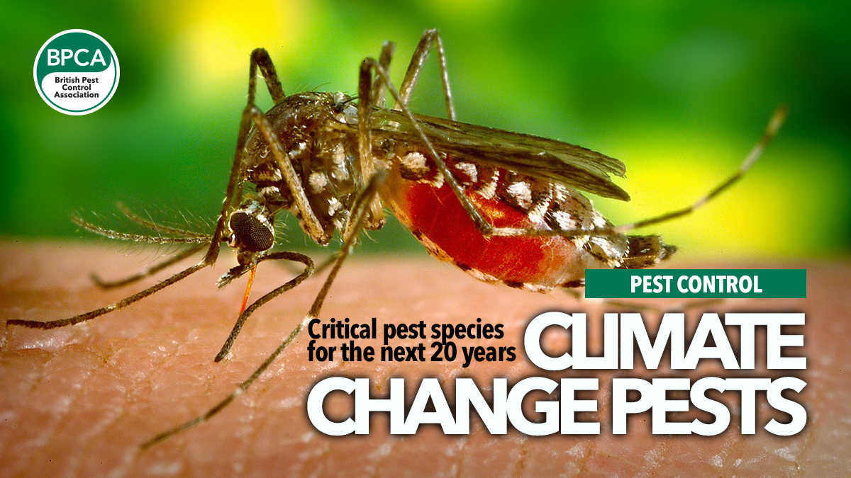 climate-change-pests-main